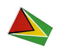 Gadpiparty Bandiera Guyana in Poliestere con Occhielli Decorazione Nazionale per Casa e Giardino Adatta per Feste Eventi e Uso Esterno