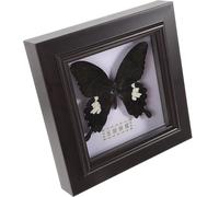 Gadpiparty Esemplare di Farfalla Simulata Fatto a Mano Decorazione da Parete in Legno e Acrilico Cornice Decorativa per Casa e Regalo Collezione Ornamento da Appendere per Soggiorno e