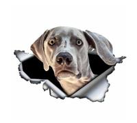 GAETOYEN Adesivo per Auto Cane 21Cm(8.6 Inches) Decalcomania Creativa Grigio Weimaraner Adesivo per Auto Adesivo in Metallo Strappato Adesivi Riflettenti Impermeabile D Car Styling Pet Dog,(def1m819)