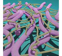 GAF y la Estrella de la Muerte - Pyramids