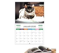 Gag Paper Funny Cute Design | Cat Calendar 2026 | 2026 Calendar Uk | Calendars For Wall | Wall Art Calendars For Classroom Kitchen Apartment Dorm Family Bedroom College Home Kids Teachers House