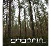 Gagarin - The Great North Wood Gagarin Cd