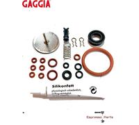 Gaggia Titanium Repair Kit Saeco Magic, Royal, Incanto, Italia Set - 21 pezzi