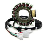 GAGSETCTHM Bobina Accensione Kit per Warrior per YFM350X 3HN-85510-10-00 Relè Avviamento Moto Solenoide Statore Bobina Regolatore Raddrizzatore Statore Guarnizione Generatore Statore Kit