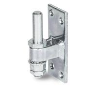 GAH-ALBERTS 311131 Cardine da avvitare, Acciaio, 13 mm/100 x 40 mm