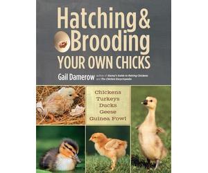 Gail Damerow Hatching & Brooding Your Own Chicks (Tascabile)