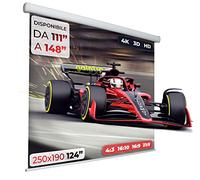 GAINUP Schermo Proiettore Motorizzato | 250x190cm (124 Pollici) 250cm | Formato 4:3 16:9 16:10 - Telo Bianco con Retro Nero - Telo Proiezione Elettrico 2 Metri e Mezzo - Videoproiezione 2,5mt 3D 4K