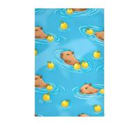 GAIREG Carino Capybaras Blue Kitchen Stracci, 71x45,7 pollici assorbente asciugamani da cucina set decorativo