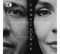 Gajic/Carrettin - Confluence