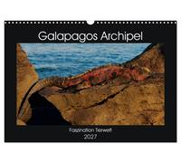 Galapagos Archipel- Faszination Tierwelt (Wandkalender 2027 DIN A3 quer), CALVEN