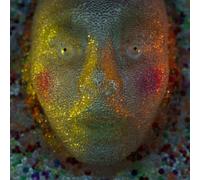 Galapagos by Post War Years