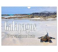 Galápagos - Die verwunschenen Inseln (Wandkalender 2026 DIN A4 quer), CALVENDO Monatskalender: FineArt-Motive von Tieren und Landschaft der Galapagos-Inseln