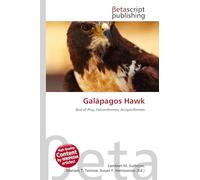 Galápagos Hawk: Bird of Prey, Falconiformes, Accipitriformes