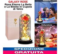 Galaxy Rose Dome Rosa Eterna La Bella e La Bestia in Cupola di Vetro Regalato