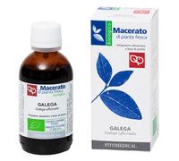 Galega Tintura Madre Bio 50 Ml