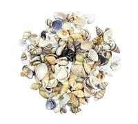 Galenecx Conchiglie, 10 Stili Conchiglie di Mare Miste Naturali Conch, Conchiglies Decorative, Shell per Artigianato, Guscio non Poroso, per Collane, Gioielli, Bracciali, Decorative Casa(10-20mm)