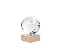 galileo thermometer