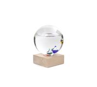 galileo thermometer