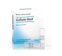 GALIUM 10F 1,1ML HEEL