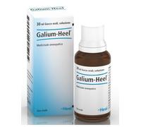GALIUM 30ML GTT HEEL
