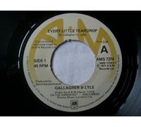 Gallagher & Lyle - Every Little Teardrop UK 7" 45
