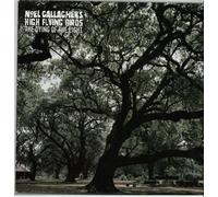 GALLAGHER, NOEL -HIGH FLYING BIRDS- - 7-DYING OF THE LIGHT