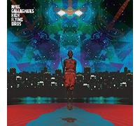 Gallagher Noel ( High Flying Birds ) This is the place (Vinyl LP)