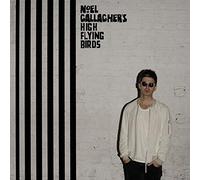 Gallagher'S Noel Flying Birds - Chasing Yesterday (Deluxe Edt.)