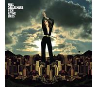 Gallagher'S Noel High Fliyng Birds Blue moon rising (Vinyl LP)