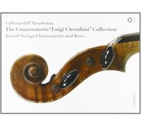 Galleria dell'Accademia. The Conservatorio "Luigi Cherubini" Collection. Bowed s