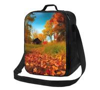 Gallery For Fall Borsa per il pranzo per donne e uomini Scatola per il pranzo riutilizzabile per ufficio Picnic Contenitore per il pranzo isolato a prova di perdite Borse per il pranzo portatile Borsa