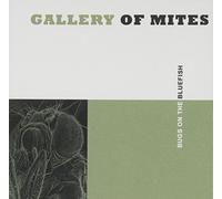 Gallery Of Mites - Bugs On The Bluefish