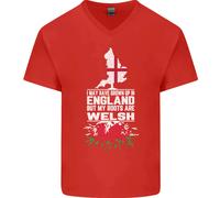Galles Le Mie Radici Sono Scozzesi Maglietta In Cotone A V
