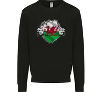 Gallese Bandiera San Davids Giorno Strappato Palestra Bambini Felpa Maglione