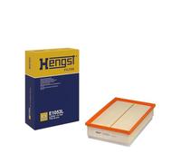Hengst & Co Filtro aria E1053L per Nissan, Opel, Renault e Renault Trucks
