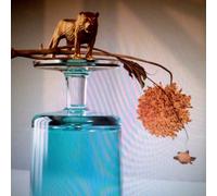 Gallipoli - Beirut (Audio Cd)