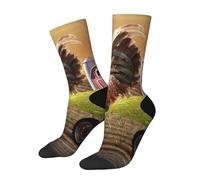 Gallo appollaiato su un palo della recinzione di una fattoria mentre il sole sorge dietro di lui u200bunisex Novelty Crew Socks, Stretch Comfort Fitu200b