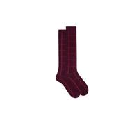 Gallo Calze lunghe fantasia window pane AP516382 bietola