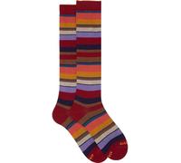 Gallo Calze Uomo AP103413