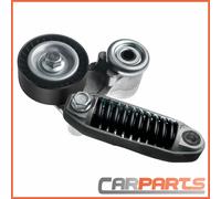 Galoppino Cinghia Scanalata Tendicinghia per Citroën C2 Jm C3 I FC 1.4 Benzina