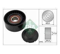 Galoppino/Guidacinghia Cinghia Poly-V 532 0557 10 SCHAEFFLER INA per AUDI VW