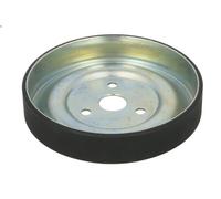Galoppino/Guidacinghia, Cinghia Poly-V DAYCO APV2978 per DS5 1.6 2011-2015
