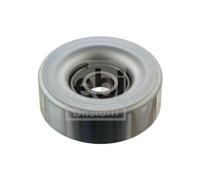 FEBI BILSTEIN 31480 Galoppino guidacinghia cinghia Poly-V Galoppino Cuscinetto cinghia servizi Galoppino cinghia