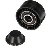 Galoppino/guidacinghia Cinghia Poly V Gates T36034 Drivealign™ per Citroën Ford