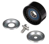 Galoppino/guidacinghia Cinghia Poly V Gates T36413 Drivealign™ per Lada Renault