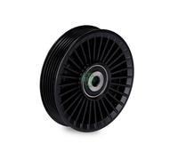 Galoppino/Guidacinghia, Cinghia Poly-V INA 532010810 per GENERAL MOTORS MERCEDES