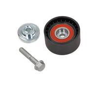 Galoppino/Guidacinghia, Cinghia Poly-V per BMW 1 3 5 7 X1 X3 X5 X6