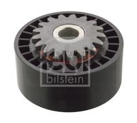 Galoppino/Guidacinghia, Cinghia Poly-V per DACIA NISSAN RENAULT CLIO KANGOO KUBI