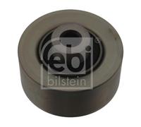 Galoppino/Guidacinghia, Cinghia Poly-V per FORD TOURNEO CONNECT TRANSIT CONNECT
