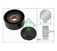 Galoppino/guidacinghia Cinghia Poly V Schaeffler Ina 532 0557 10 per Audi Seat